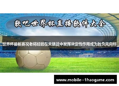 世界杯最新赛况老将经验在关键战中发挥决定性作用成为胜负风向标