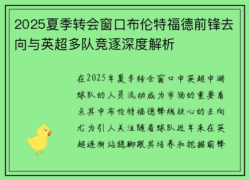 2025夏季转会窗口布伦特福德前锋去向与英超多队竞逐深度解析