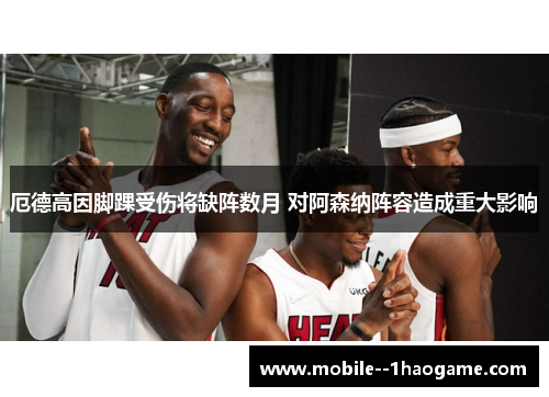 厄德高因脚踝受伤将缺阵数月 对阿森纳阵容造成重大影响