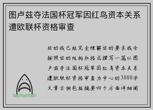 图卢兹夺法国杯冠军因红鸟资本关系遭欧联杯资格审查